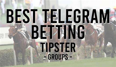 Top MC Update Telegram Channel & Betting Tips 2026